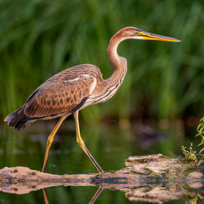 Vitajte na mojom blogu!