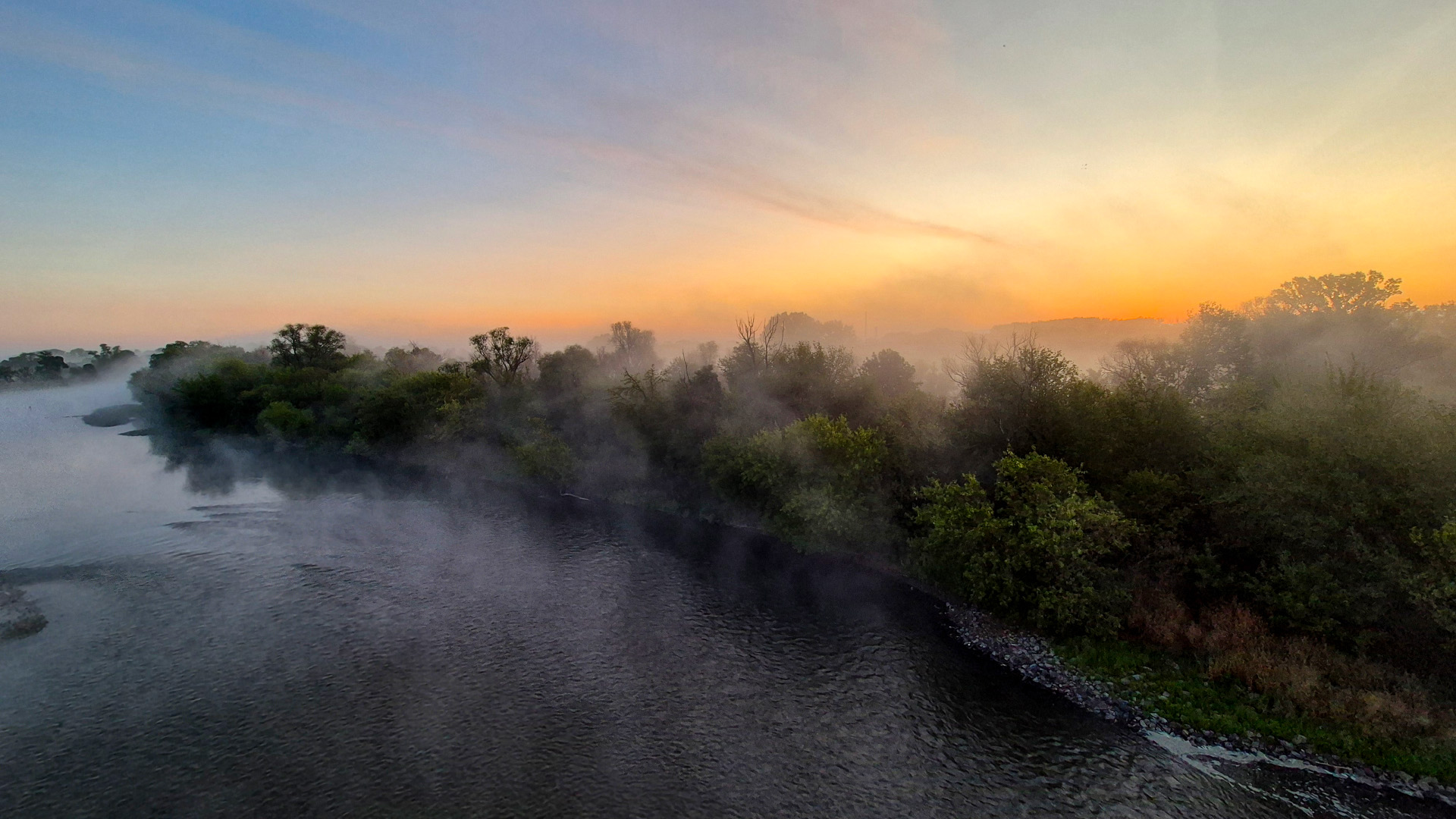 Floodplain forest on the riverbank bathed in the light of the rising sun.
